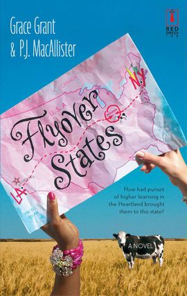Cover image for Flyover States